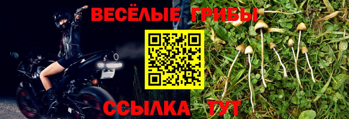 Галлюциногенные грибы Magic Shrooms  цены   Вичуга  Вход с VPN 